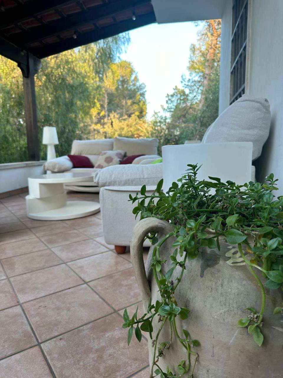 Villa Zoe توري ديل أورسو المظهر الخارجي الصورة